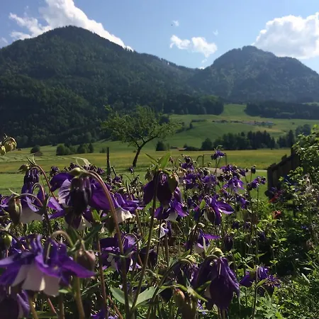 Schifterhof Vakantiehuis Ruhpolding