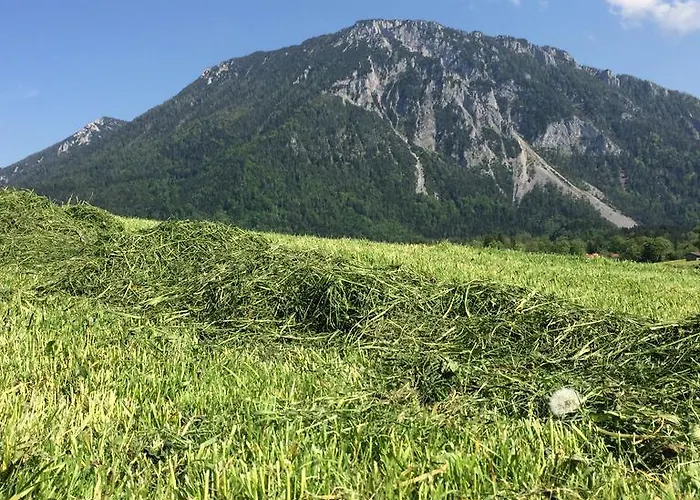 Schifterhof * Рупольдинг